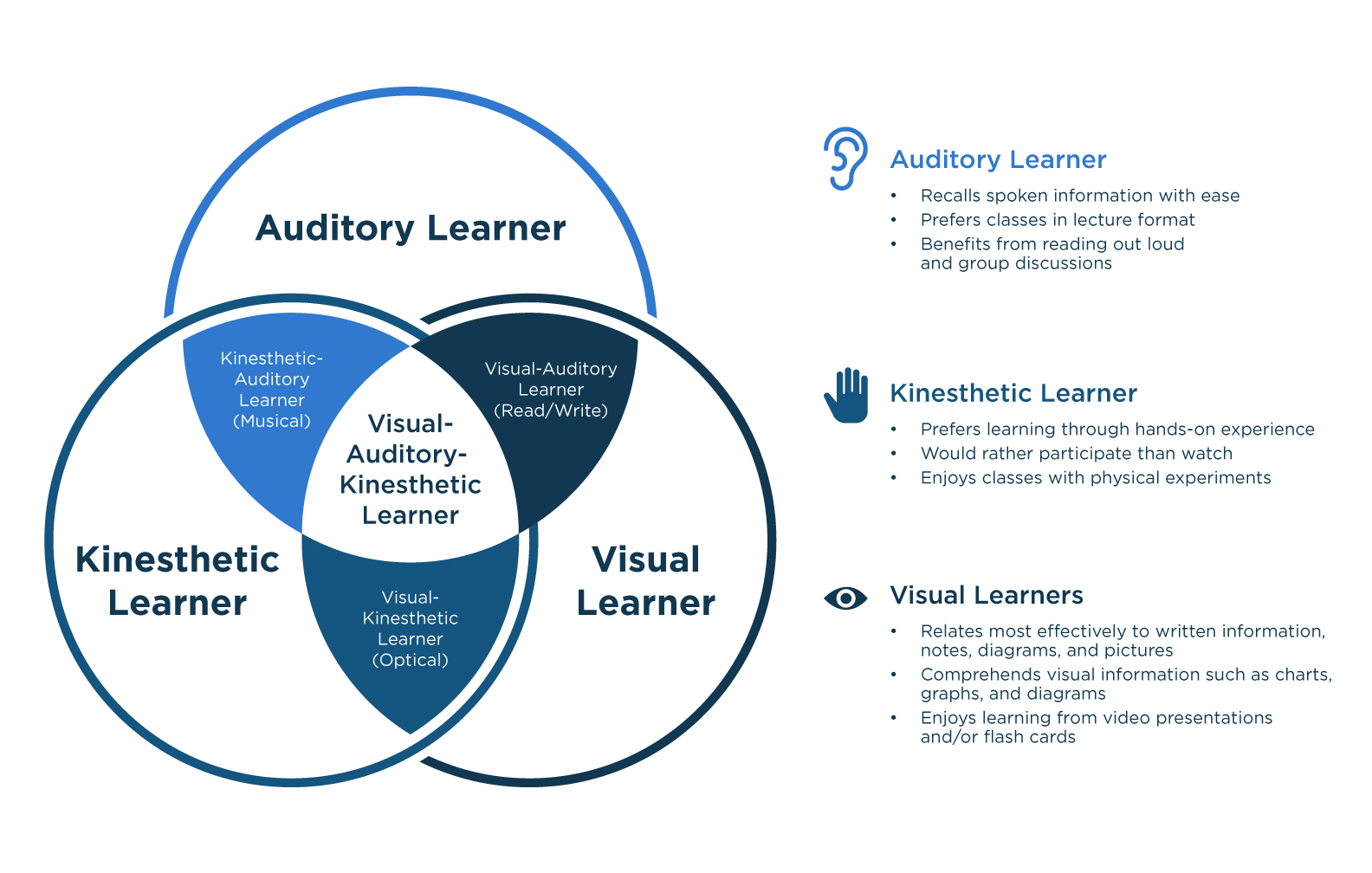 kinesthetic and visual learning