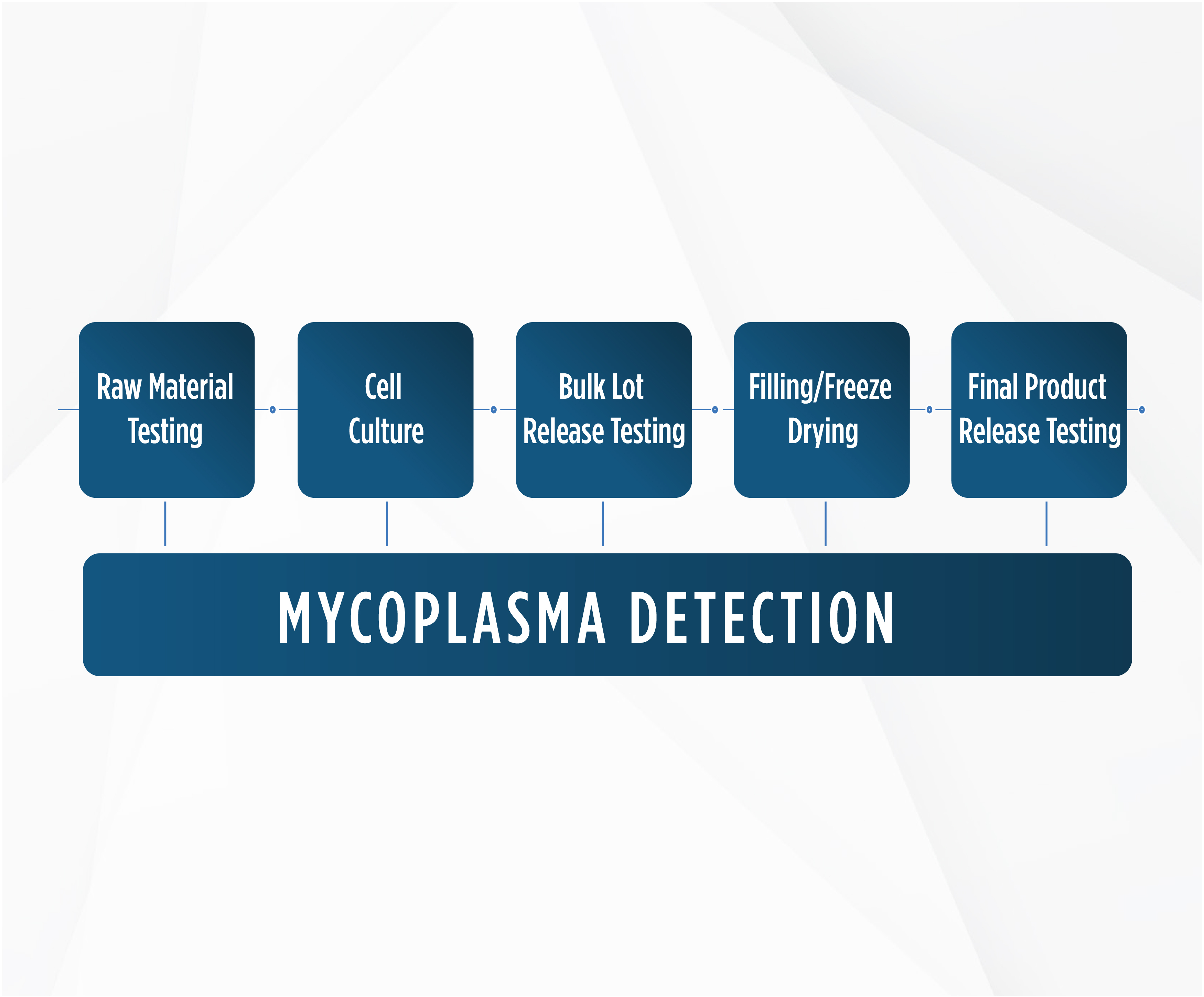 Rapid-Mycroplasma-Testing-Graph-1