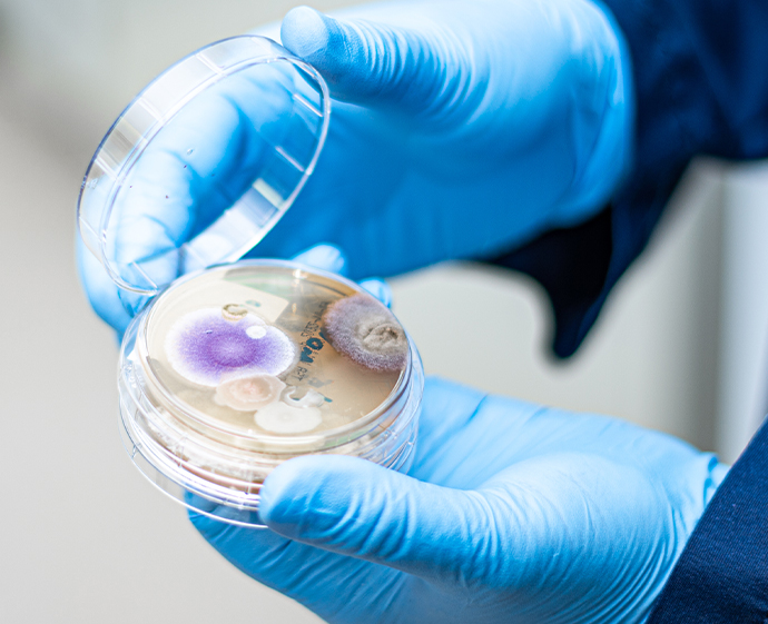 Microbiology Testing Service Image