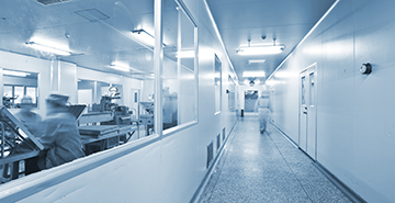 Building a foundation for good manufacturing practices: From R&D to production Teaser